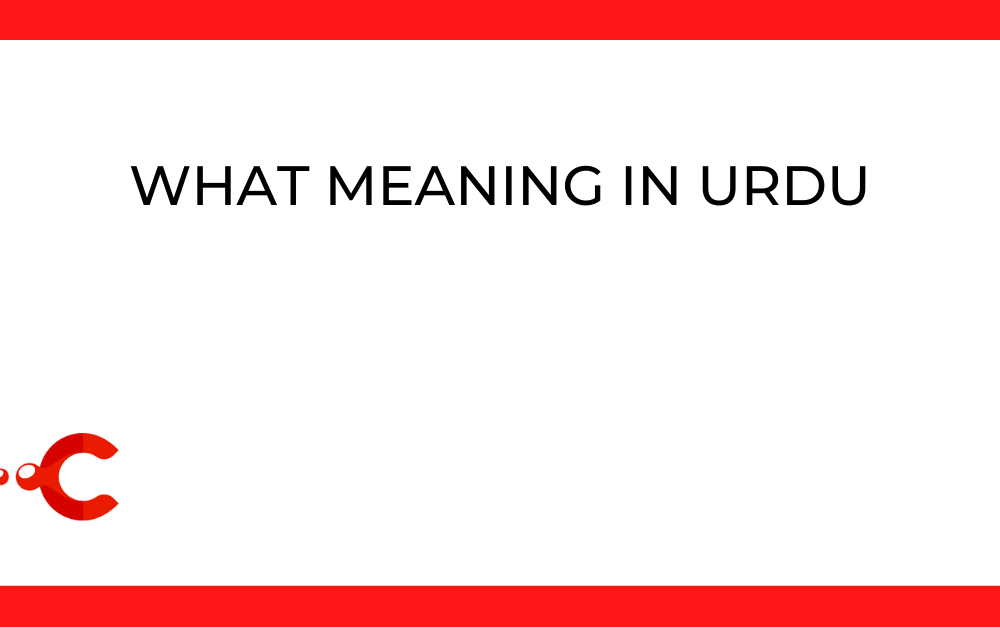 what meaning in urdu