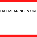 what meaning in urdu